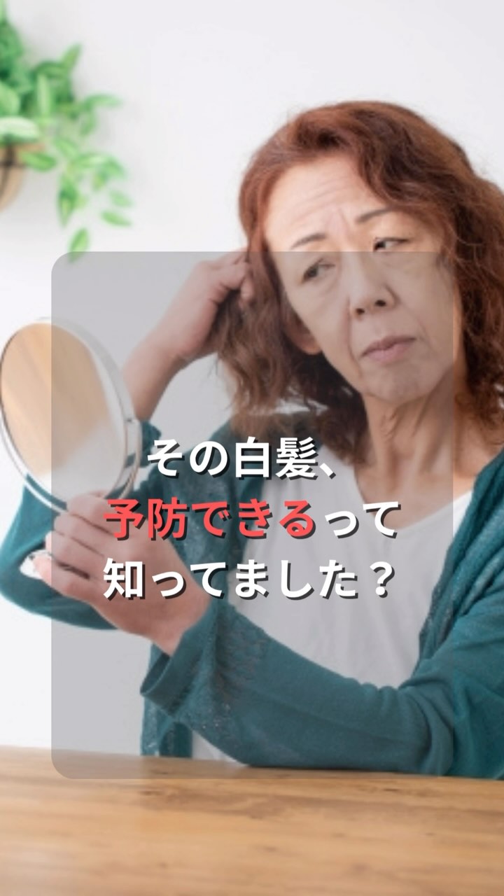 白髪を減らしたいなら…まずは今日からできることから！

予防に大切なのは、頭皮・睡眠・血流✨

「これならできそう！」と思った方は、
👉 保存して明日からやってみてくださいね😊

#白髪予防 #白髪対策 #エイジングケア #頭皮ケア #美容室リール #三鷹美容室 #三鷹縮毛矯正 #三鷹マンツーマンサロン #ヘアケア